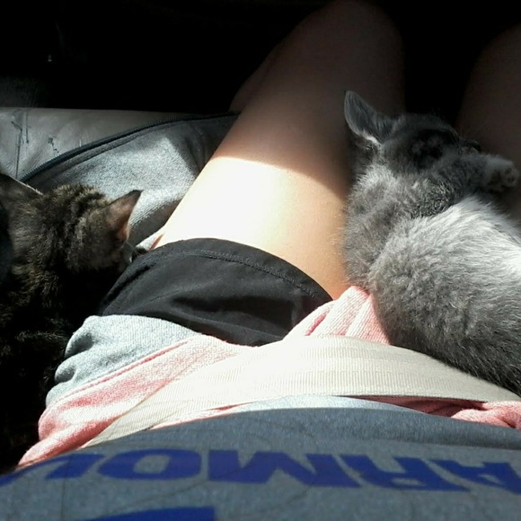 Meet your Posher, Lauretta - Picture 1 of 1